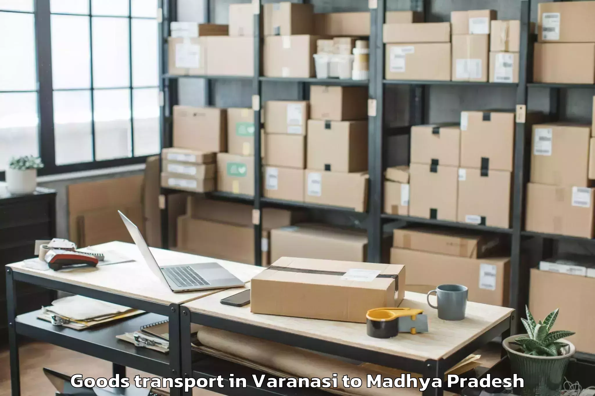 Affordable Varanasi to Gautampura Goods Transport